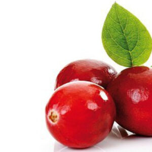 PERFUME EQUIVALENCIA 105