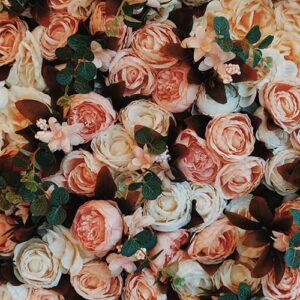 PERFUME EQUIVALENCIA 106