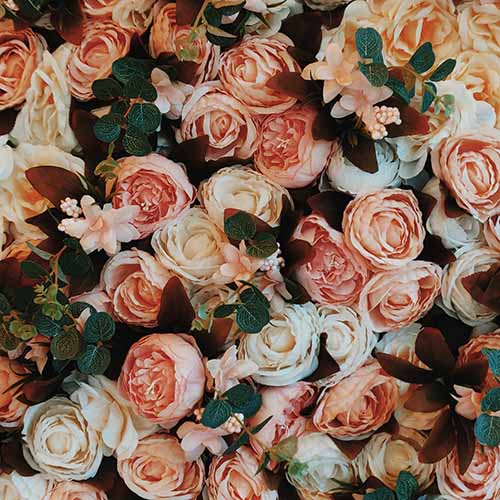 PERFUME EQUIVALENCIA 106