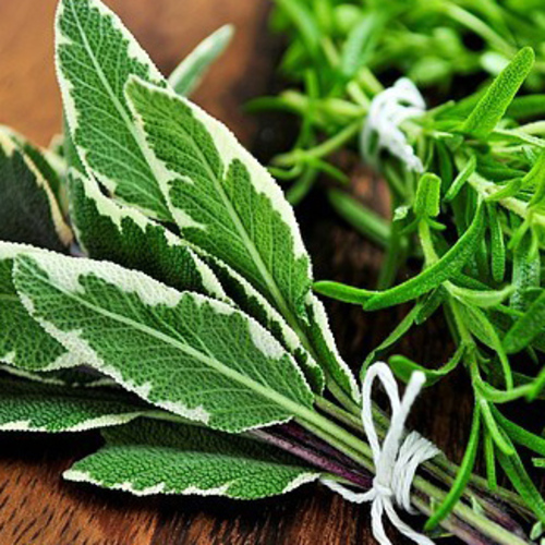 PERFUME EQUIVALENCIA 122