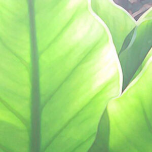 PERFUME EQUIVALENCIA 174