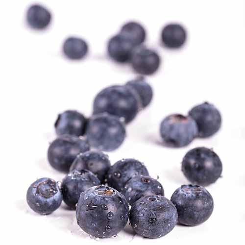 PERFUME EQUIVALENCIA 267