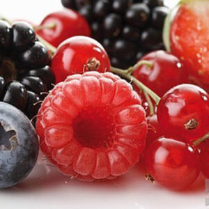 PERFUME EQUIVALENCIA 204