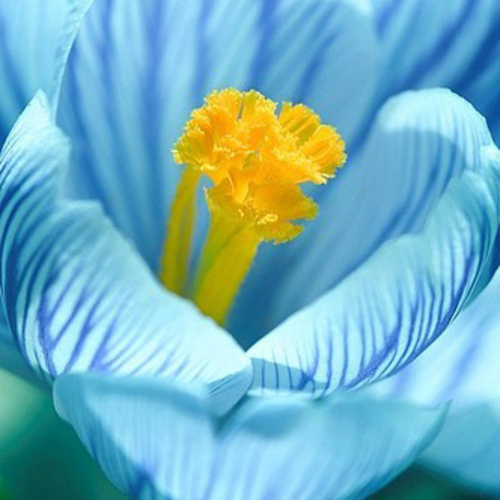 PERFUME EQUIVALENCIA 209