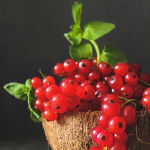 PERFUME EQUIVALENCIA 215