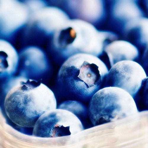 PERFUME EQUIVALENCIA 024