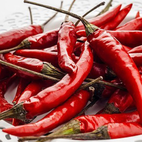 PERFUME EQUIVALENCIA 254