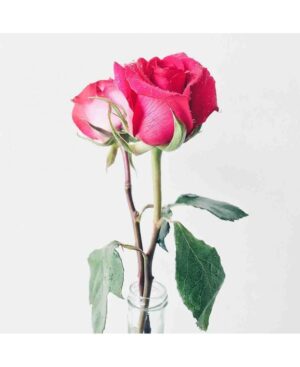 PERFUME EQUIVALENCIA 346