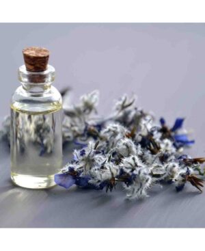 PERFUME EQUIVALENCIA 337