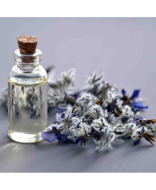 PERFUME EQUIVALENCIA 337