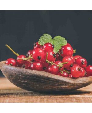 PERFUME EQUIVALENCIA 382