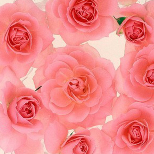 PERFUME EQUIVALENCIA 280