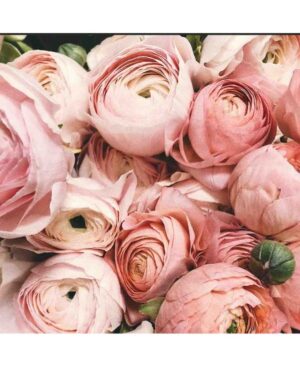 PERFUME EQUIVALENCIA 383