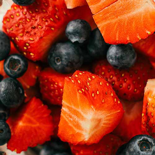 PERFUME EQUIVALENCIA 293