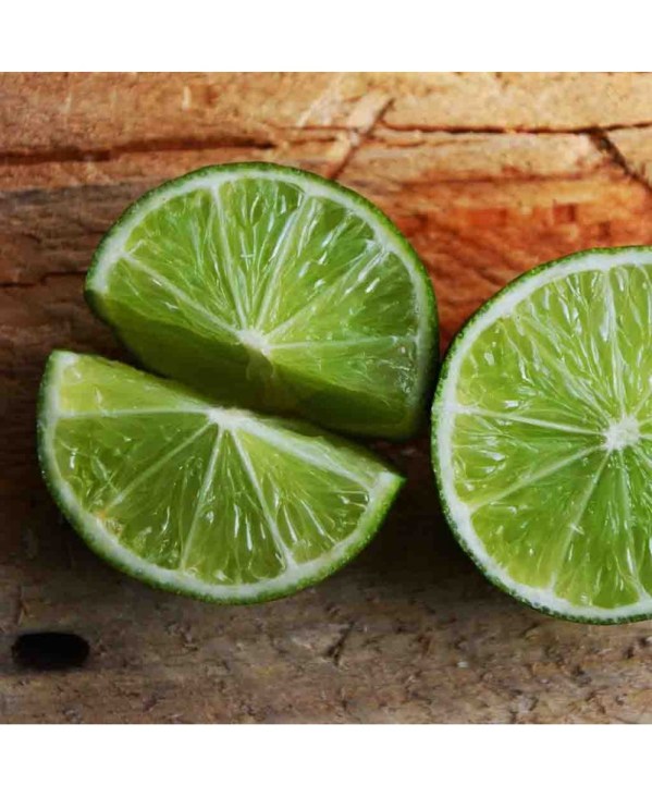 PERFUME EQUIVALENCIA 392