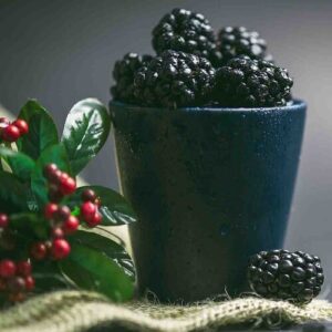 PERFUME EQUIVALENCIA 316