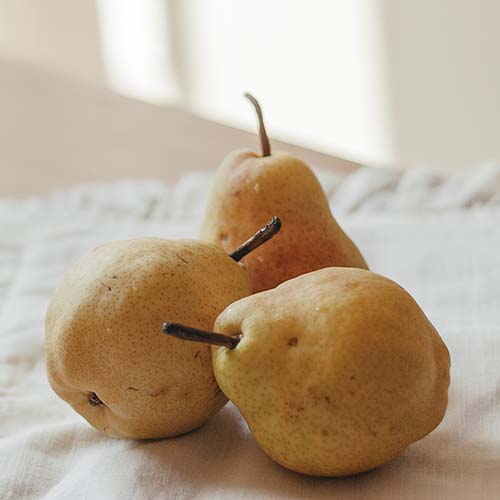 PERFUME EQUIVALENCIA 322