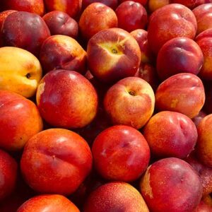 PERFUME EQUIVALENCIA 033