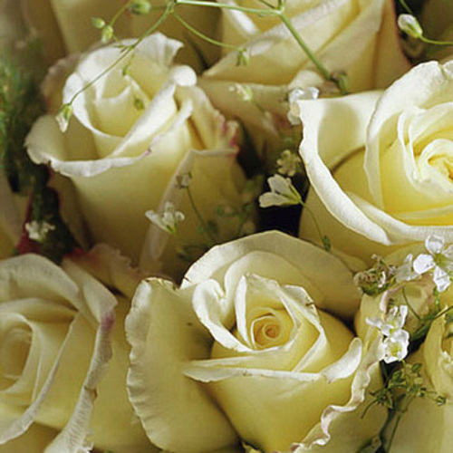 PERFUME EQUIVALENCIA 373