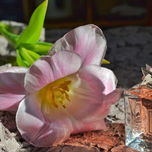 PERFUME EQUIVALENCIA 429