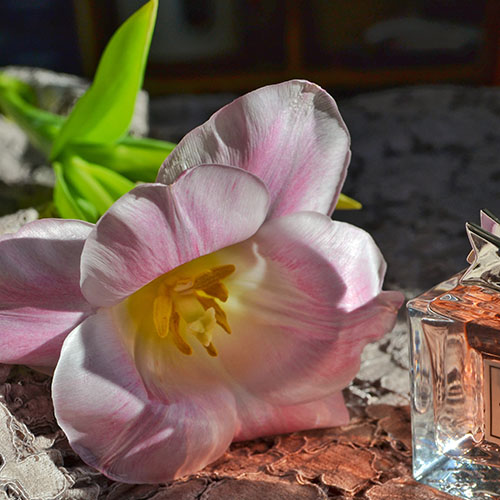 PERFUME EQUIVALENCIA 429