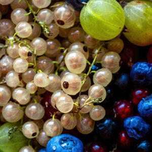 PERFUME EQUIVALENCIA 447