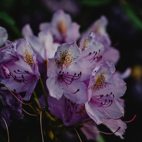 PERFUME EQUIVALENCIA 045