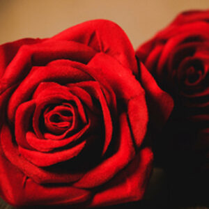 PERFUME EQUIVALENCIA 458