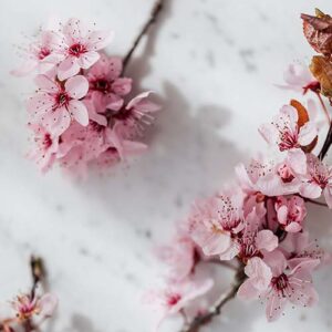 PERFUME EQUIVALENCIA 469