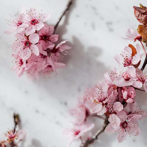 PERFUME EQUIVALENCIA 469