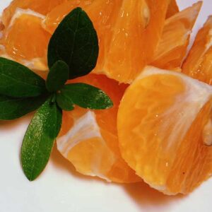 PERFUME EQUIVALENCIA 482