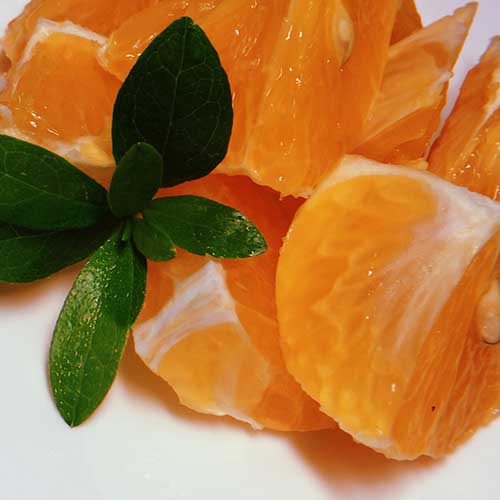 PERFUME EQUIVALENCIA 482