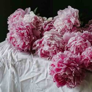 PERFUME EQUIVALENCIA 483