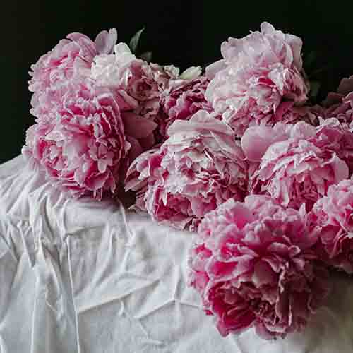 PERFUME EQUIVALENCIA 483