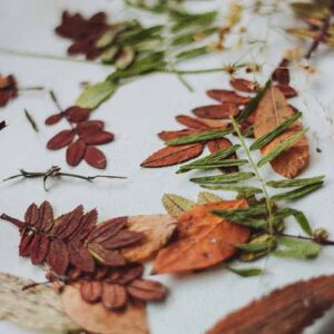 PERFUME EQUIVALENCIA 484