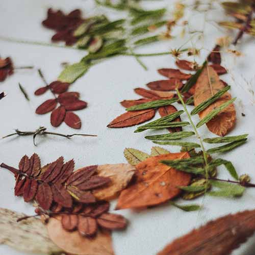 PERFUME EQUIVALENCIA 484