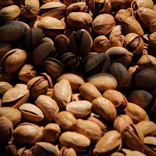 PERFUME EQUIVALENCIA 488