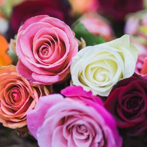 PERFUME EQUIVALENCIA 497