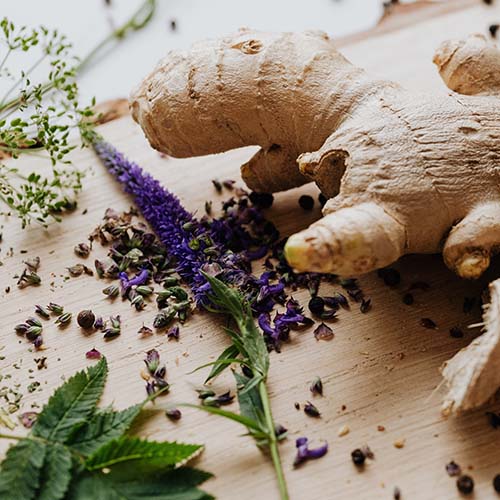 PERFUME EQUIVALENCIA 499