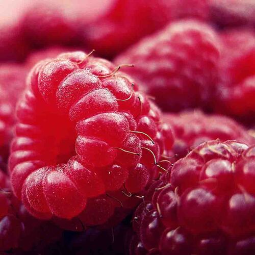 PERFUME EQUIVALENCIA 005