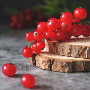 PERFUME EQUIVALENCIA 501