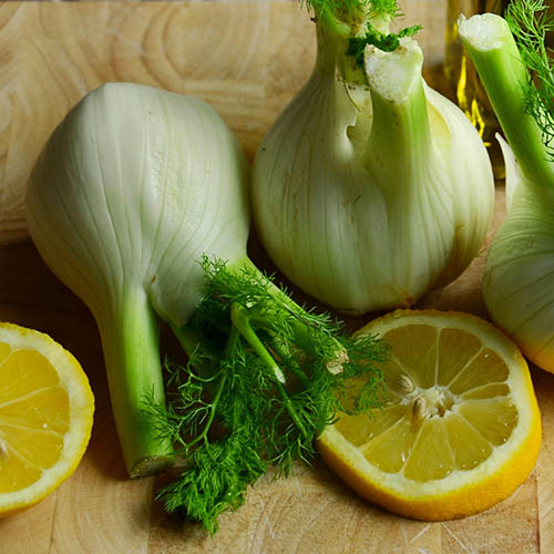 PERFUME EQUIVALENCIA 514