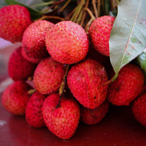 PERFUME EQUIVALENCIA 515