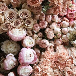 PERFUME EQUIVALENCIA 536