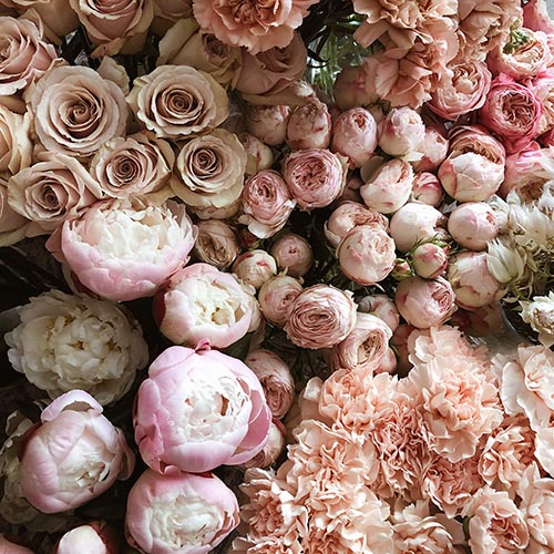 PERFUME EQUIVALENCIA 536