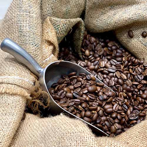 PERFUME EQUIVALENCIA 541