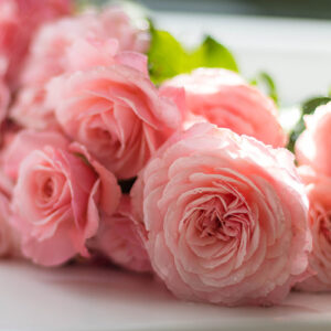 PERFUME EQUIVALENCIA 554