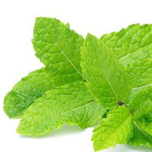 PERFUME EQUIVALENCIA 058