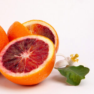 PERFUME EQUIVALENCIA 580