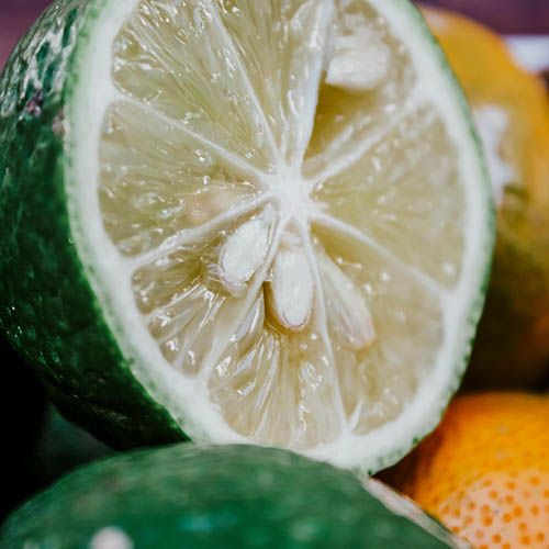 PERFUME EQUIVALENCIA 608